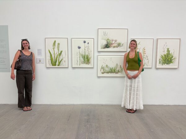 Botanical Art