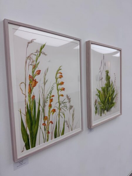 Botanical Art