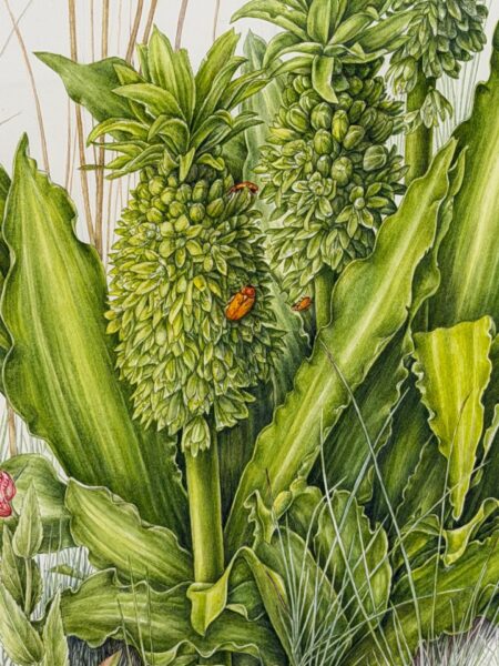 Botanical Art