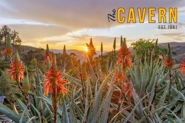 The Cavern Est 1941