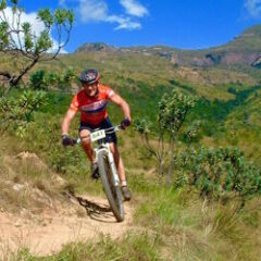 MTB Trails