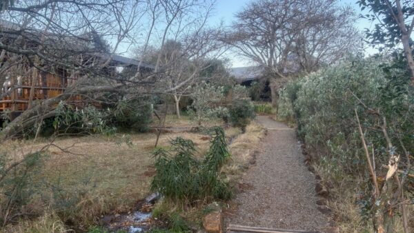 Night 1 - Greenfire Drakensberg Lodge