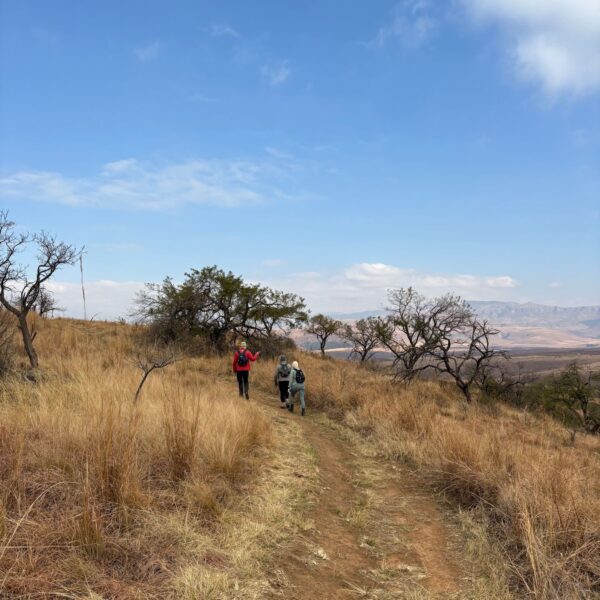 Day 3 - Berghouse to Montusi Mountain Lodge