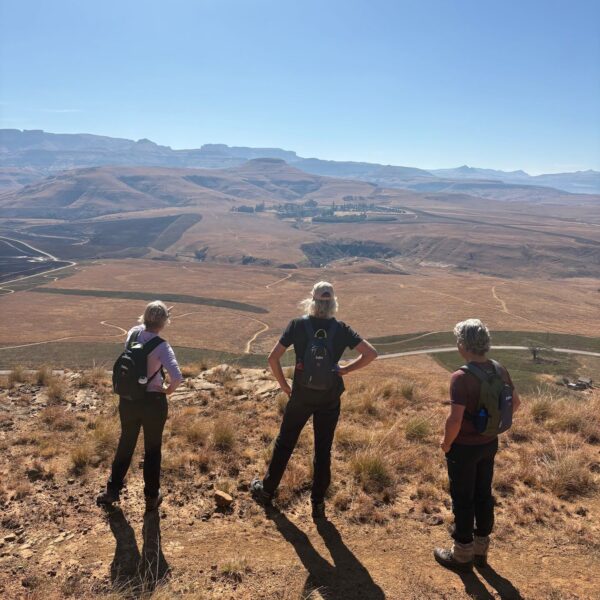 Day 4 - Montusi to The Cavern