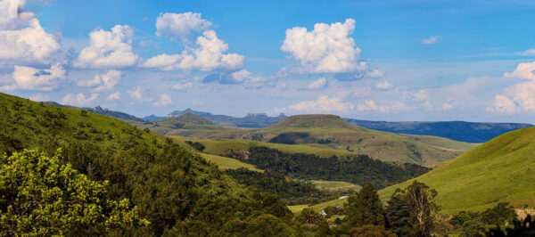 Panarama