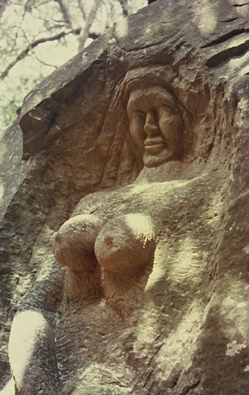 the silent woman by willie chalmers